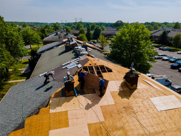 Trusted Roof Replacement service in Houma, LA - Brentwood Metal Roofing